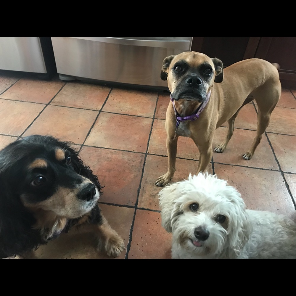 Meet your Posher, Tina jacinto